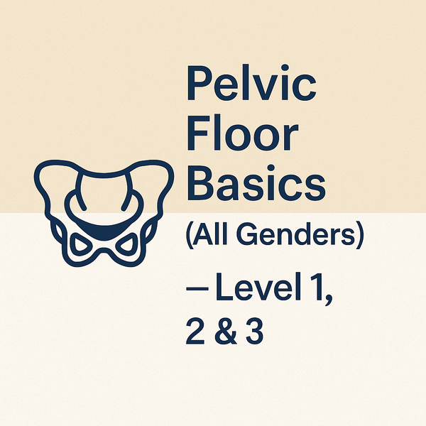 Pelvic Floor Basics (All Genders) — Level 1, 2 & 3